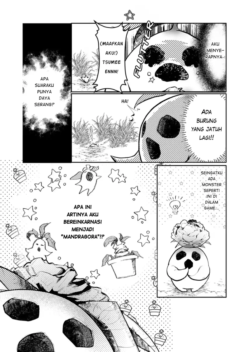 Mandragora tte Baretara Toubatsu desu ka?: Hana no Majo no Hohoemi wa Kanchigai no Tane o Maku chapter 1 halaman 12
