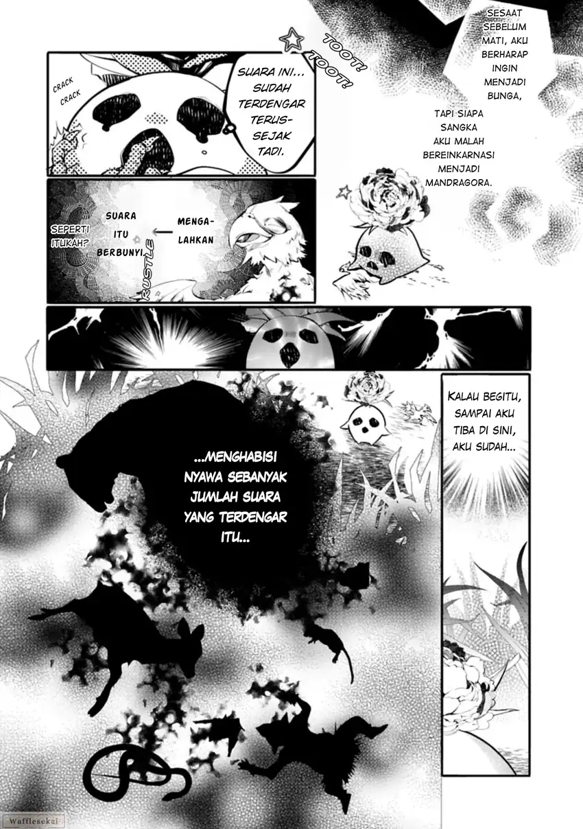 Mandragora tte Baretara Toubatsu desu ka?: Hana no Majo no Hohoemi wa Kanchigai no Tane o Maku chapter 1 halaman 13