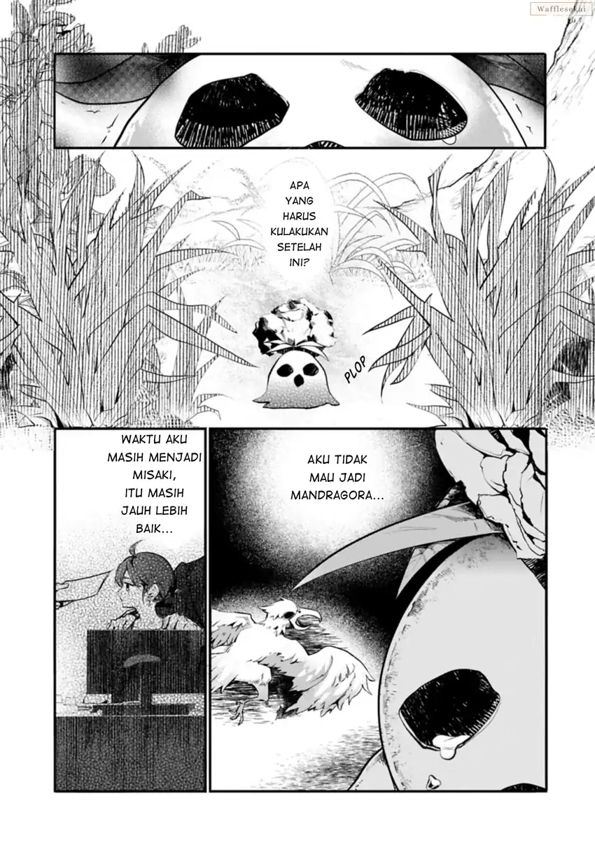 Mandragora tte Baretara Toubatsu desu ka?: Hana no Majo no Hohoemi wa Kanchigai no Tane o Maku chapter 1 halaman 14