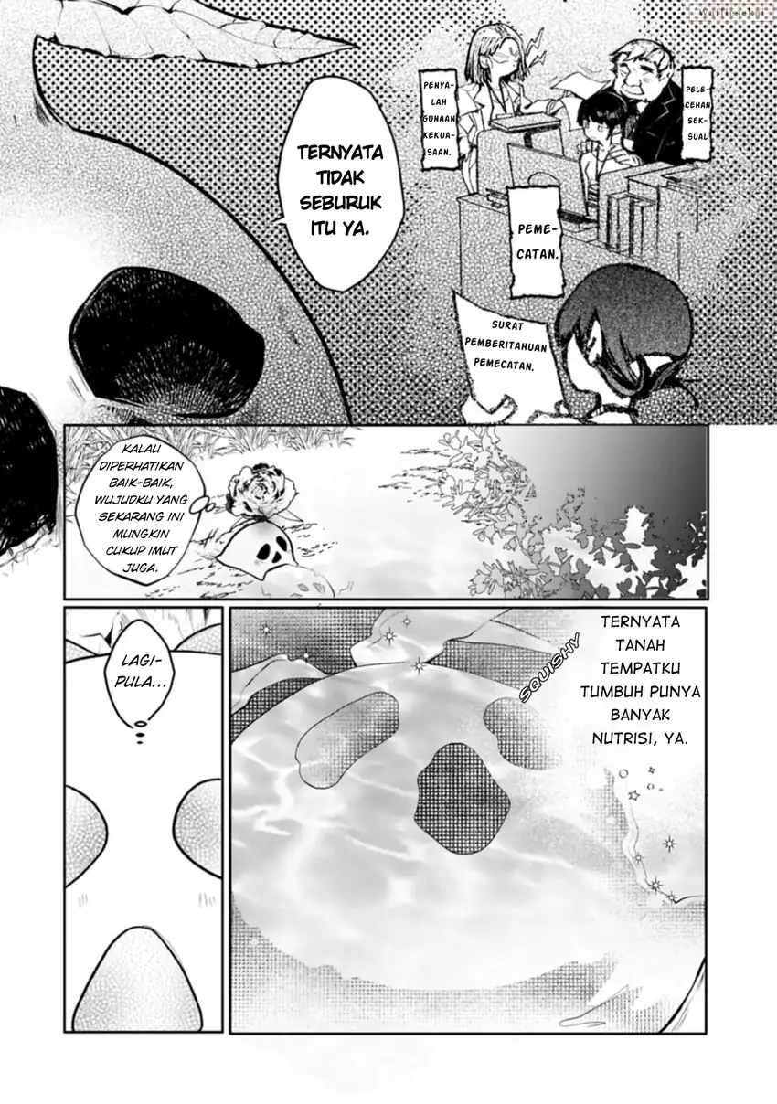 Mandragora tte Baretara Toubatsu desu ka?: Hana no Majo no Hohoemi wa Kanchigai no Tane o Maku chapter 1 halaman 15