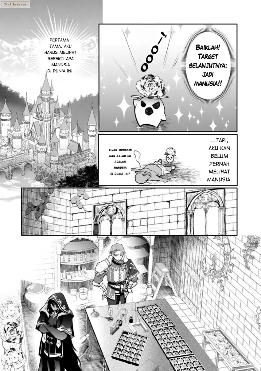 Mandragora tte Baretara Toubatsu desu ka?: Hana no Majo no Hohoemi wa Kanchigai no Tane o Maku chapter 1 halaman 21