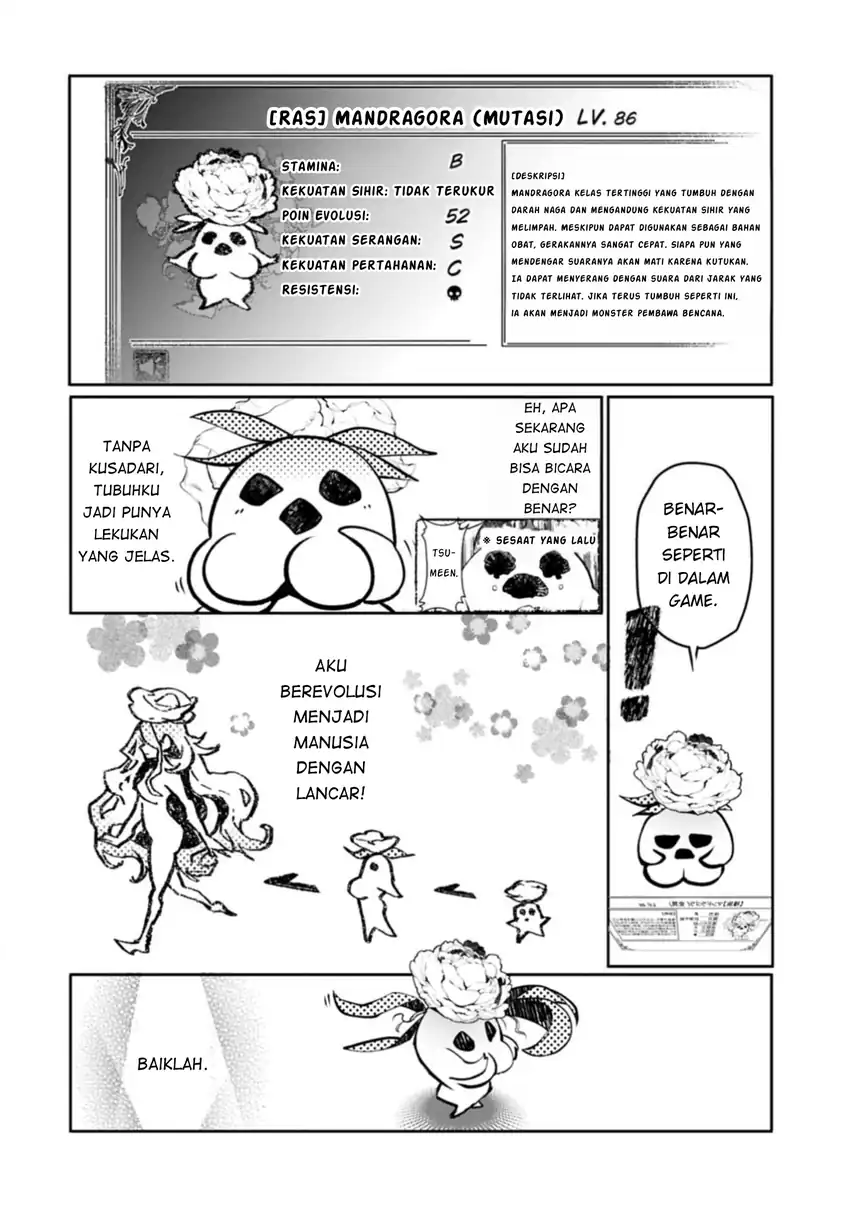 Mandragora tte Baretara Toubatsu desu ka?: Hana no Majo no Hohoemi wa Kanchigai no Tane o Maku chapter 1 halaman 33